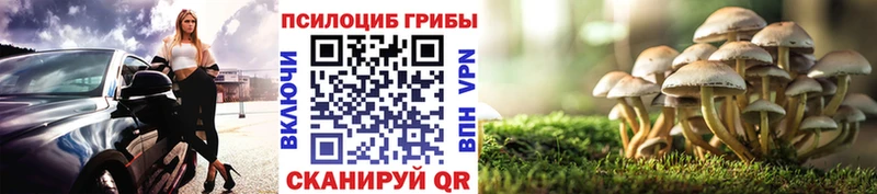 Псилоцибиновые грибы GOLDEN TEACHER  мега онион  Северо-Курильск 